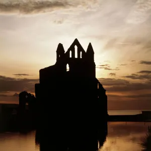 Whitby Abbey J850254