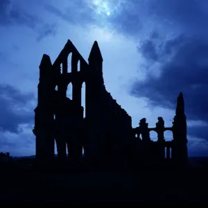 Whitby Abbey J850257