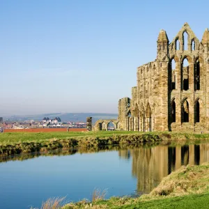 Whitby Abbey N080548