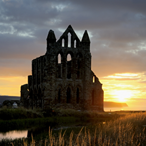 Whitby Abbey at sunset N080799