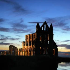 Whitby Abbey at sunset N080808