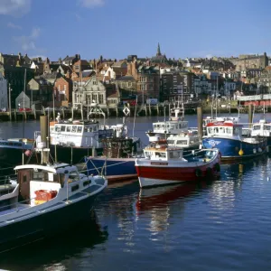 Whitby harbour K011534