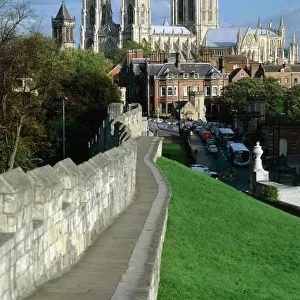 Cathedrals Collection: York Minster