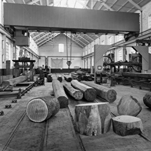 Carriage and Wagon Works Rights Managed Collection: Sawmills and Timber Yard