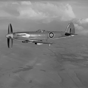 Supermarine Seafire F. 46