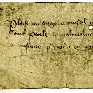 14th century passport