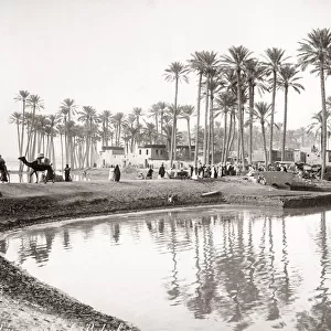 1880s - village, palm trees along the River Nile, Egypt