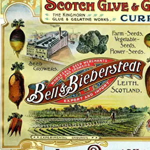 Advert, Bell & Bieberstedt, Seed Growers, Leith, Scotland