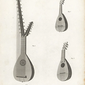 Arch lute, mandolin and mandola