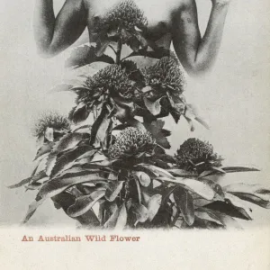 Australian Aboriginal Girl and wild flowers