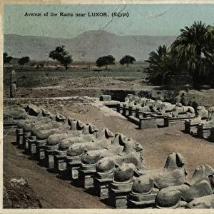 Avenue of ram-headed sphinxes, Temple of Amun, Egypt