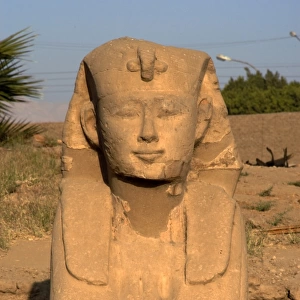 Avenue of the sphinx. Luxor