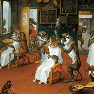 Barbers shop with Monkeys and Cats