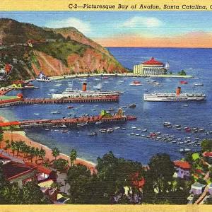 Bay of Avalon, Santa Catalina Island, California, USA