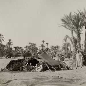 Bedouin camp, Biskra, Algeria
