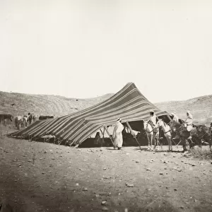 Bedouin camp in the desrt, North Africa, Algeria
