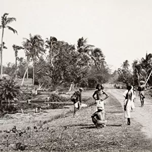 Bengal village scene, near Calcutta, Kolkata, India