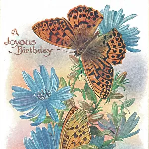 Birthday postcard design with butterflies and flowers