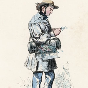 Botanist at Work / 1850