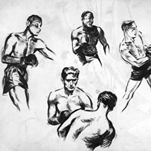 Boxers by David Wright