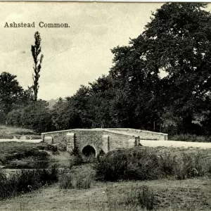 Surrey Collection: Ashtead