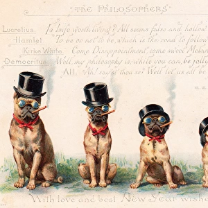 Four bulldogs on a greetings card