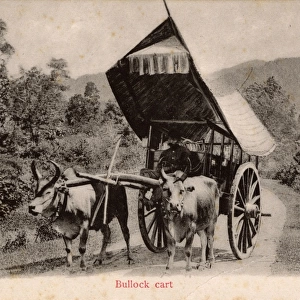 Bullock / Ox Cart with delightful mounted canopy, Singapore