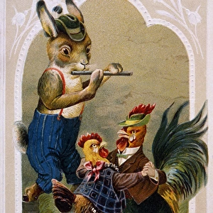 Bunny and Poultry