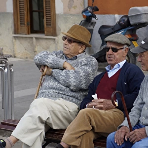 Bunyola, Mallorca, Spain, - Three old Friends