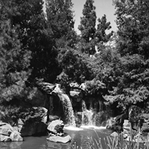 Busch Gardens Waterfall
