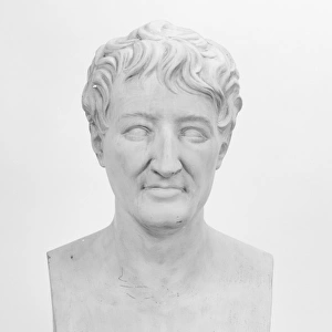 Bust of G. Cuvier