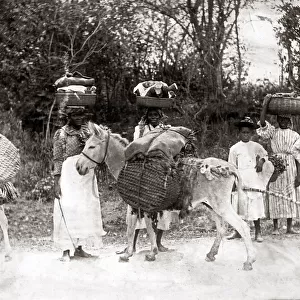 c. 1900 West Indies - women and donkey on way to market