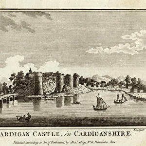 Cardigan Castle / Wales