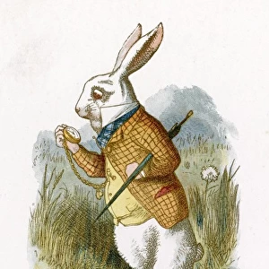 Carroll / White Rabbit