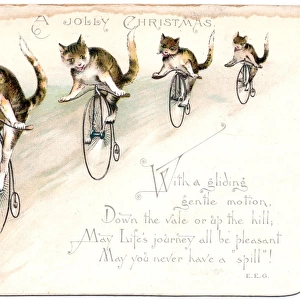 Four cats on a Christmas card
