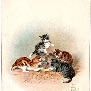 Four cats and a mouse on a Christmas card
