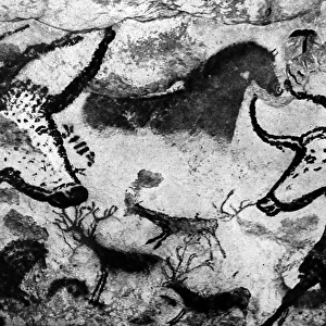 Cave art paintings, prehistoric discovery