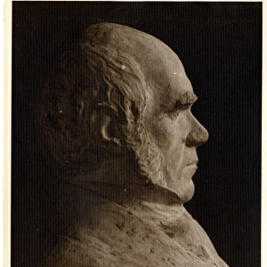 Charles Robert Darwin (1809-1881)