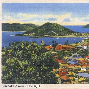 US Virgin Islands Collection: Charlotte Amalie
