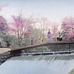 Cherry blossom and weir at Oji, Tokyo, Japan, circa 1890s