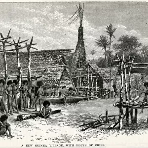 Chiefs house, village in Papua New Guinea