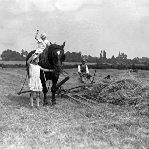 Children Haymaking