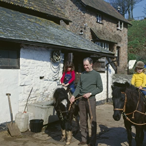 Horse Collection: Exmoor