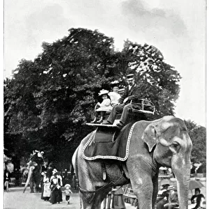 Children riding elephants at Zoological Gardens 1896