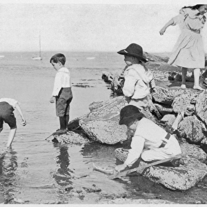Children / Seaside Paddle