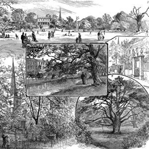 Sights Collection: Clissold Park