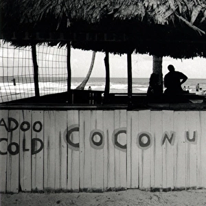 Cold Coconuts stall, Trinidad, West Indies