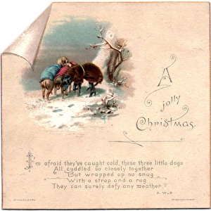 Three cold dogs in the snow on a Christmas card
