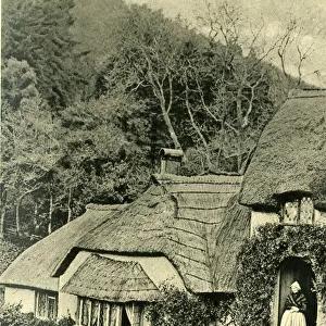 Cottage in the village of Selworthy Green, Somerset