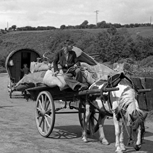 Country road with horse and cart